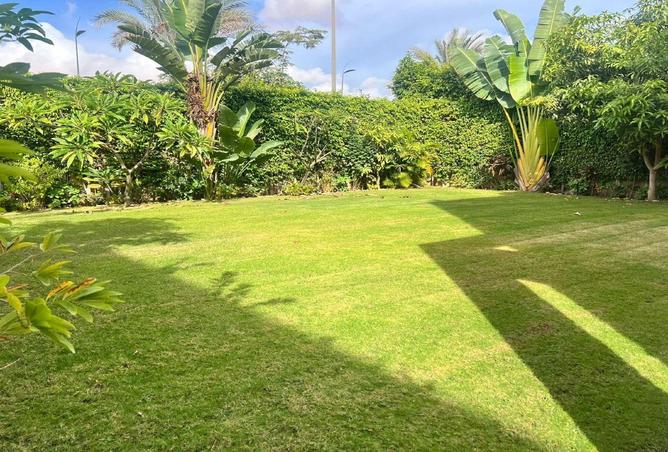 56509526 - الصورة الرئيسية للعقار