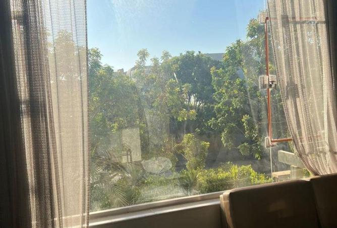 53976526 - صورة العقار 2