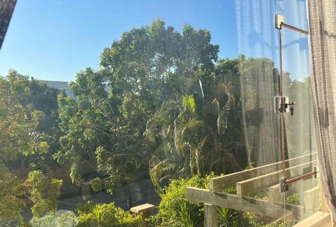 53976526 - الصورة الرئيسية للعقار