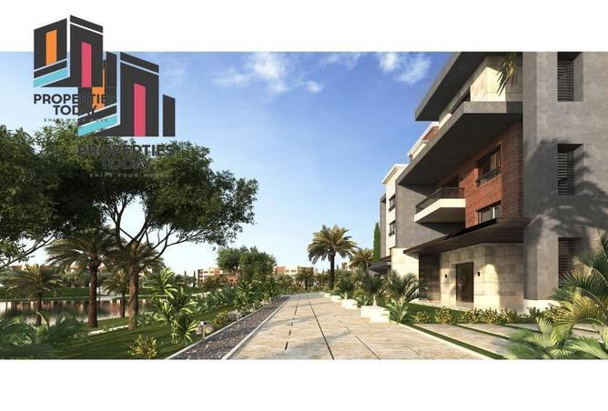 64905561 - Property Image 3