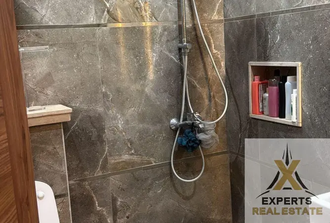 113825276 - Property Image 3