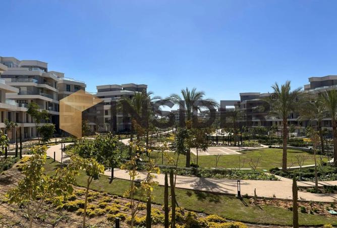 52461965 - صورة العقار 2