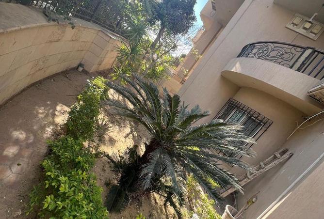 79729949 - صورة العقار 3