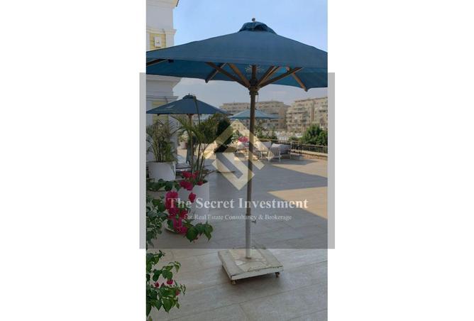 8495194 - Property Image 2