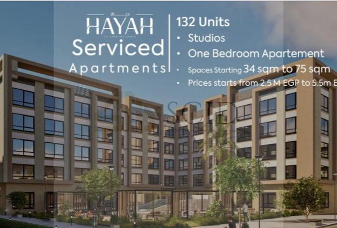 57496252 - Property Image 3