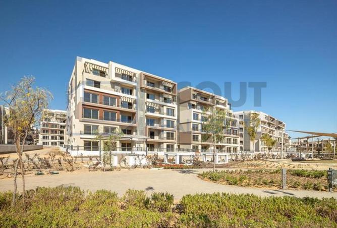 99384467 - Property Image 3