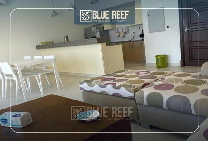 66956849 - Property Image 2