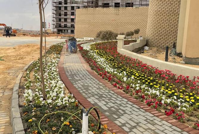 8511683 - صورة العقار 2