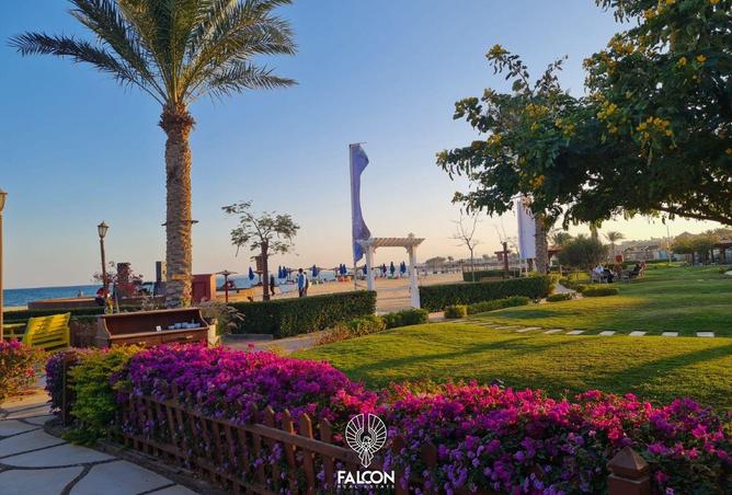 97143645 - صورة العقار 3