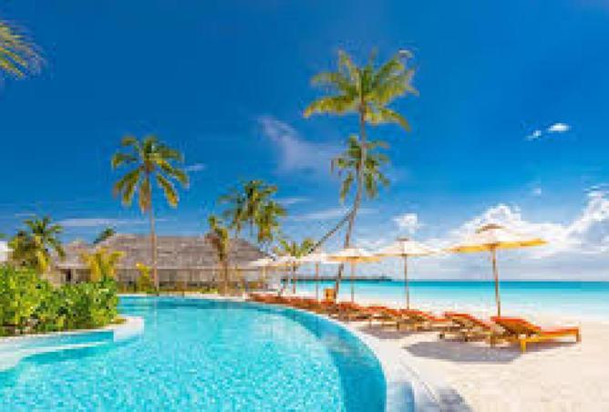 56000884 - Property Image 3