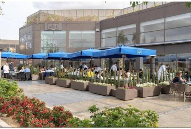 55251691 - صورة العقار 2