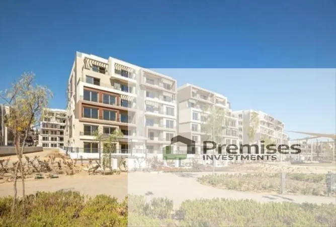 99117855 - Property Image 3