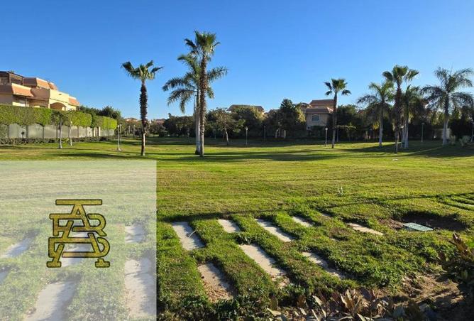 8668789 - Property Image 3