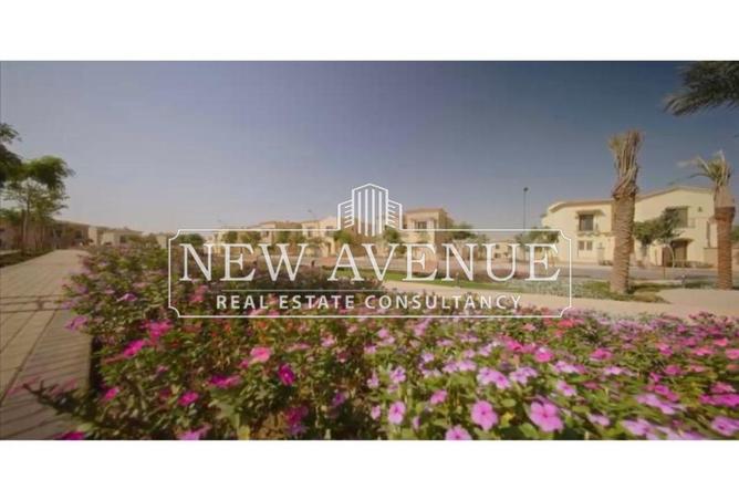 68268861 - Property Image 3