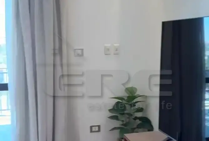 111019336 - Property Image 3