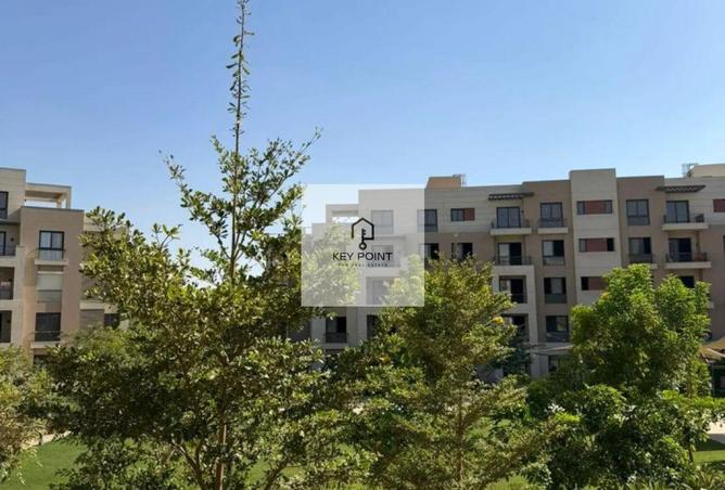 54492872 - Property Image 3