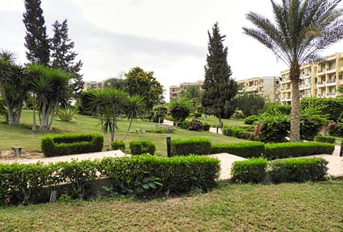 62406163 - صورة العقار 2