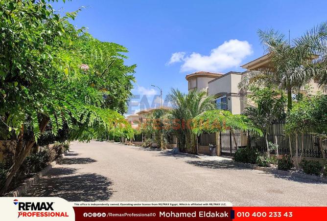 81565762 - صورة العقار 2