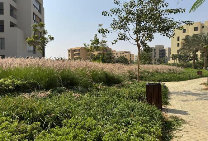 59994619 - صورة العقار 2