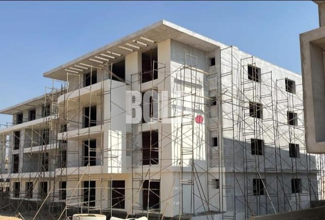 80254288 - صورة العقار 3