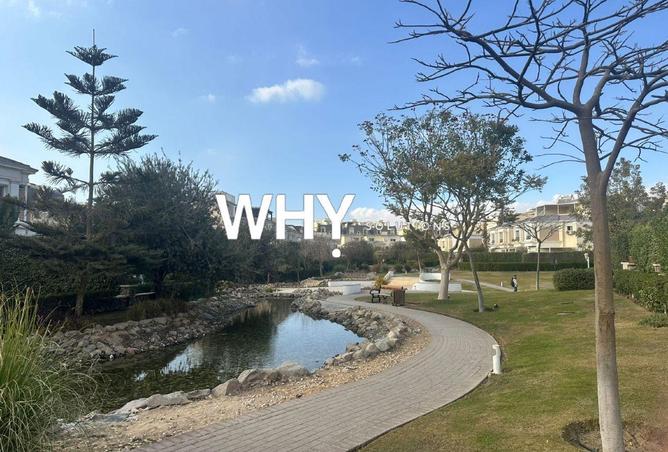 55507346 - Property Image 3