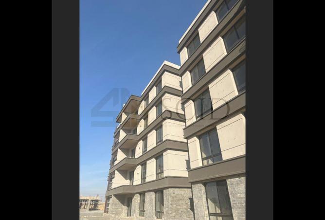 55246539 - Property Image 3