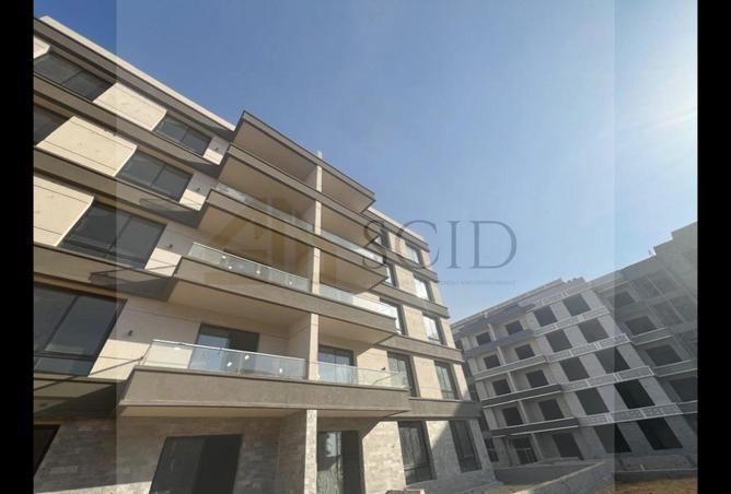 55246539 - Property Image 2