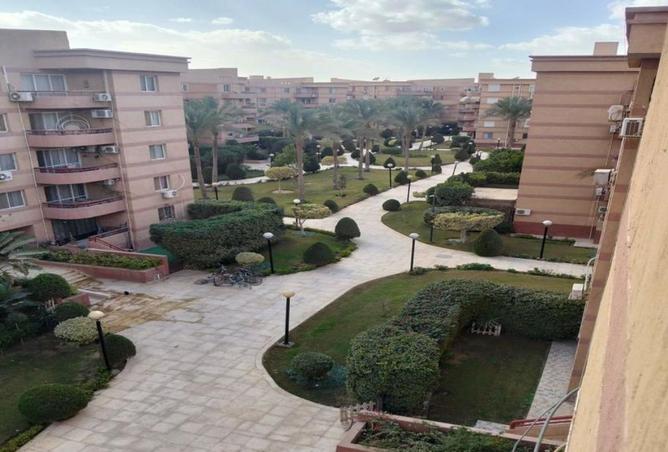 53979918 - صورة العقار 3