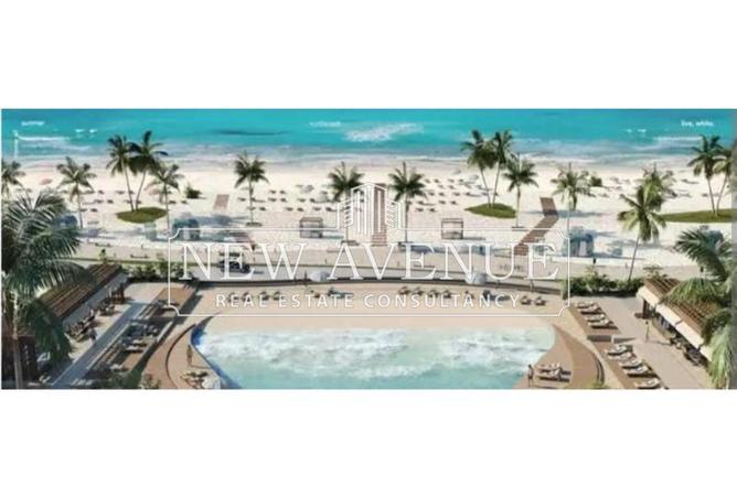 59240244 - Property Image 2