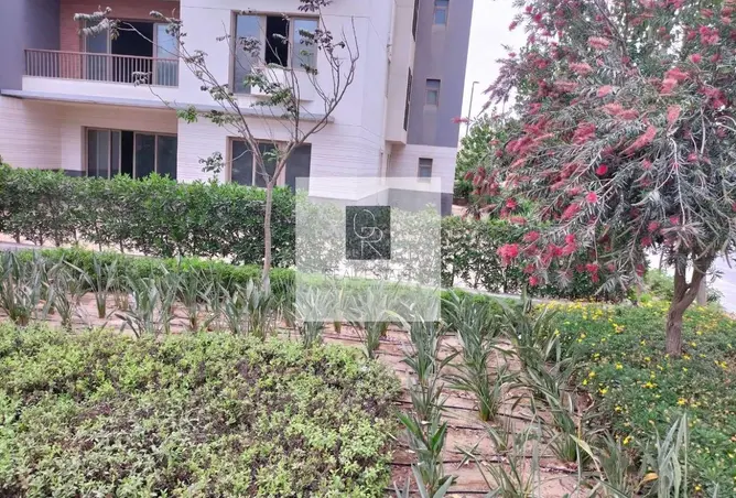 120353580 - صورة العقار 3