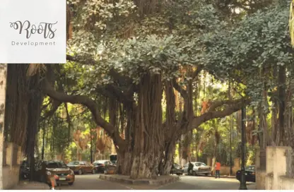 Shop - Studio - 1 Bathroom for rent in Mohamed Maraashly St. - Zamalek - Cairo