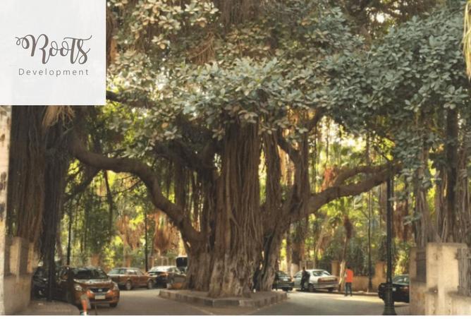 59239422 - Property Main Image