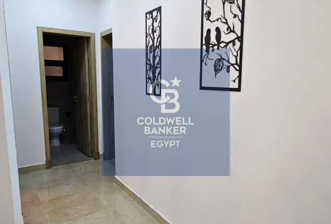 113247651 - صورة العقار 3