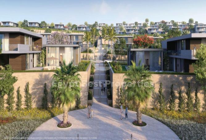 62895367 - Property Image 3