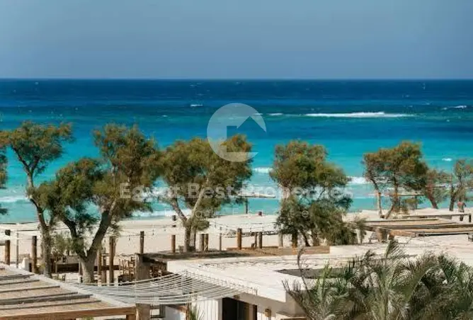 110758597 - صورة العقار 3