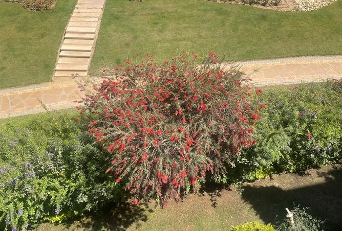 109363488 - صورة العقار 2