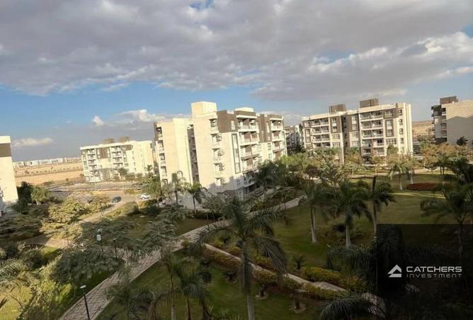 66686705 - صورة العقار 3