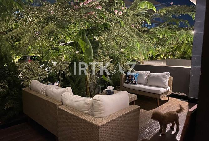 97724982 - صورة العقار 2