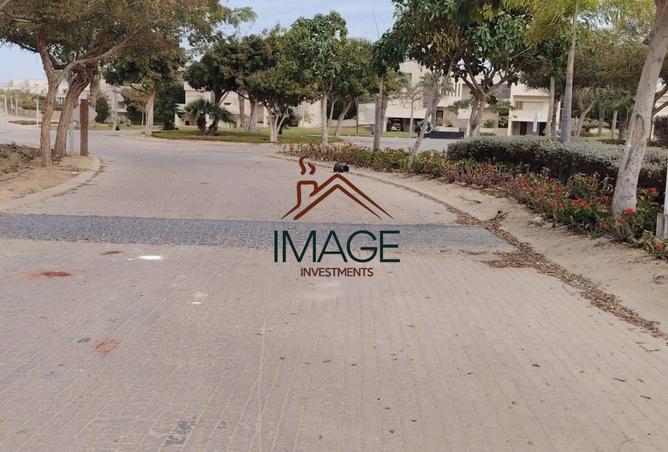 62411765 - صورة العقار 3