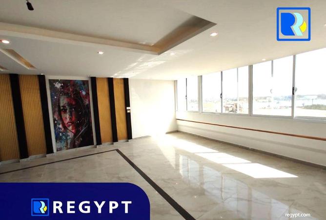 61438596 - Property Image 2