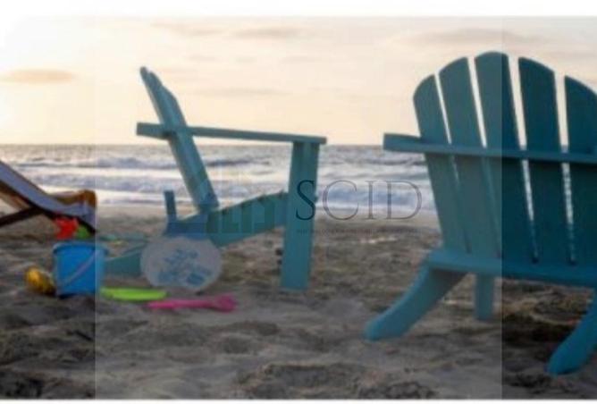 64387525 - Property Image 3