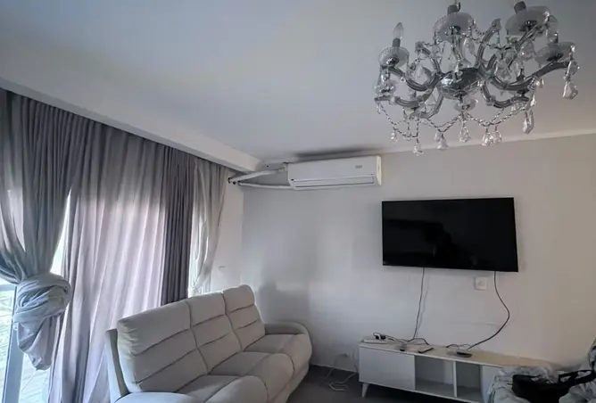 115966274 - Property Image 2