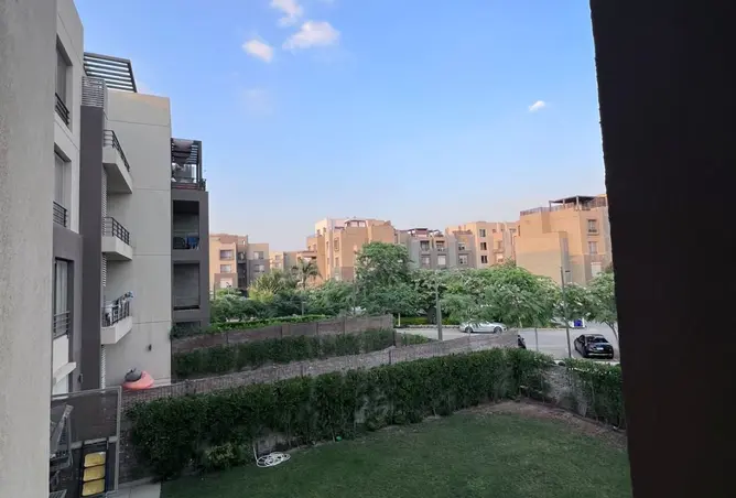 115966274 - Property Image 3