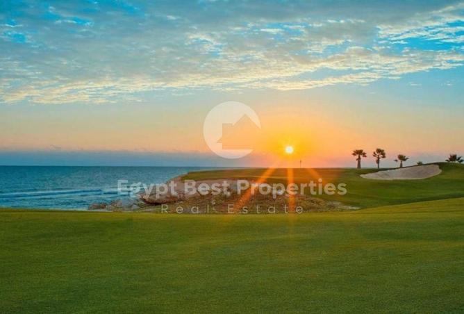 52458927 - Property Image 3