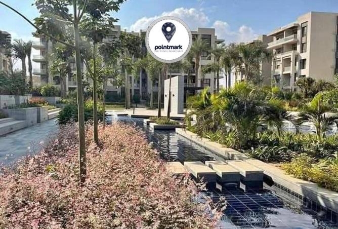 61447055 - Property Image 3