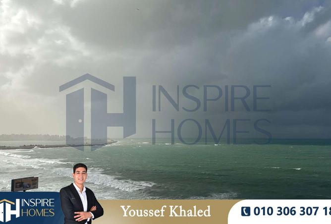 8536604 - Property Image 3