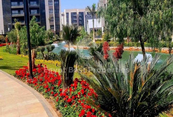 8586830 - صورة العقار 3