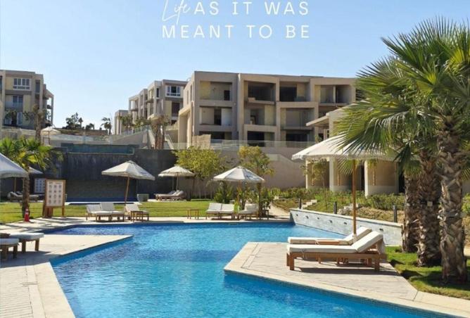 61693609 - Property Image 3