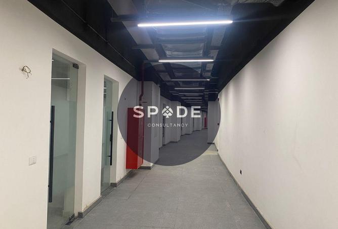 64394800 - Property Image 3