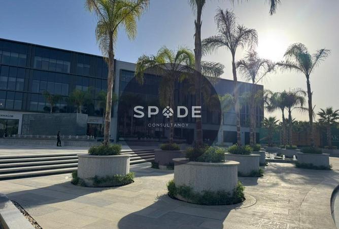 64394800 - Property Image 2